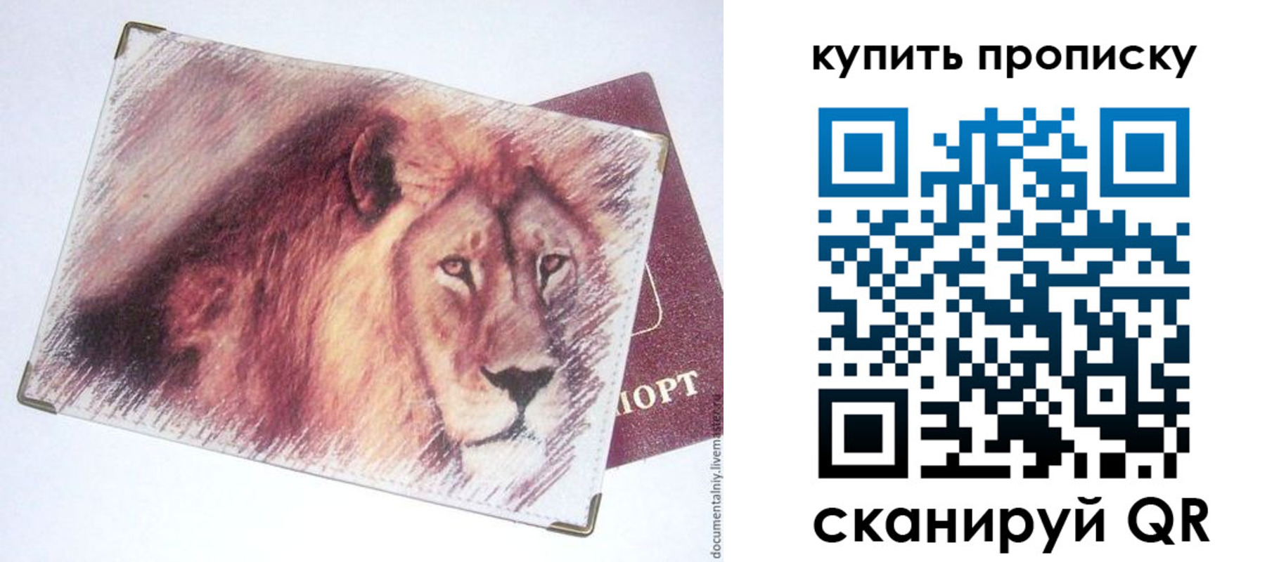 прописка паспорт в Лобне
